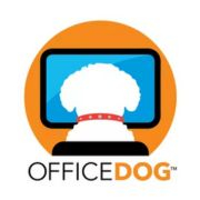 Office Dog